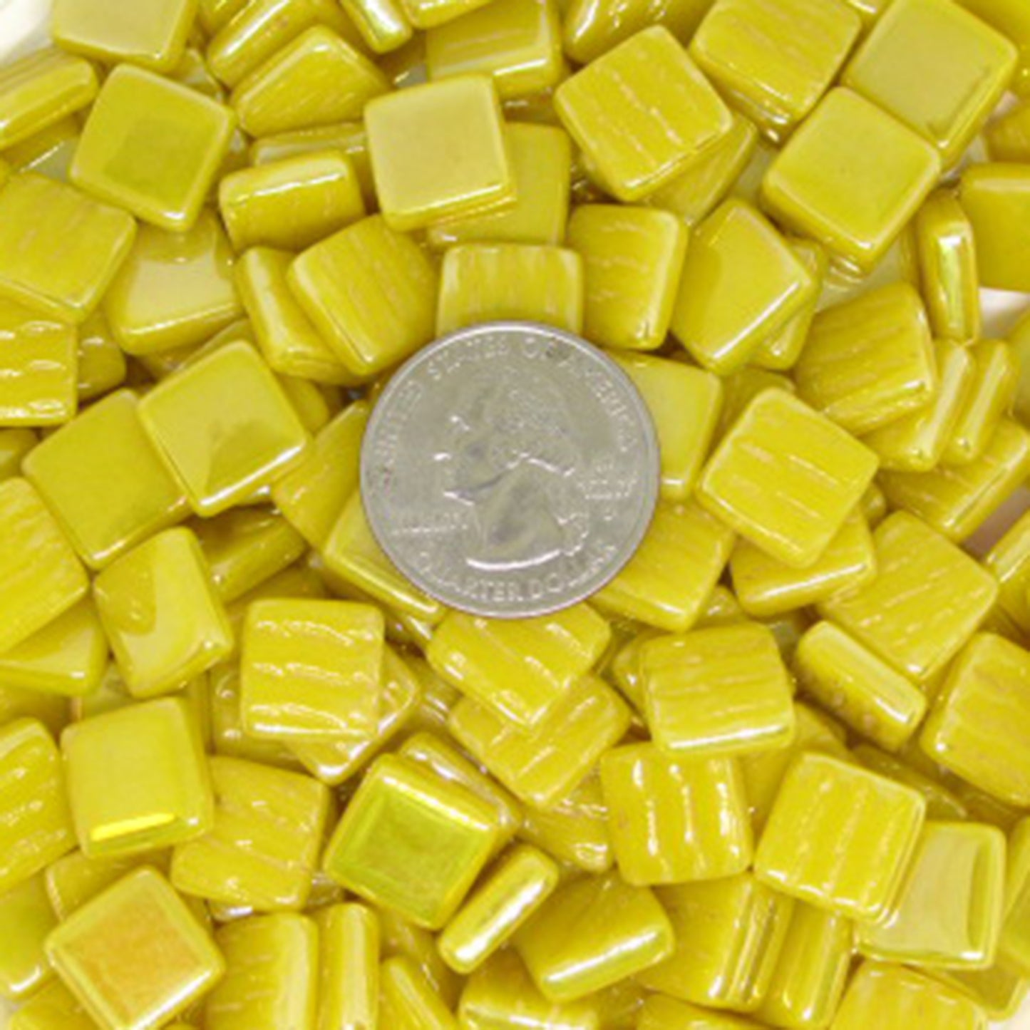130-i Sweet Corn, 12mm - Yellows tile - Kismet Mosaic - mosaic supplies