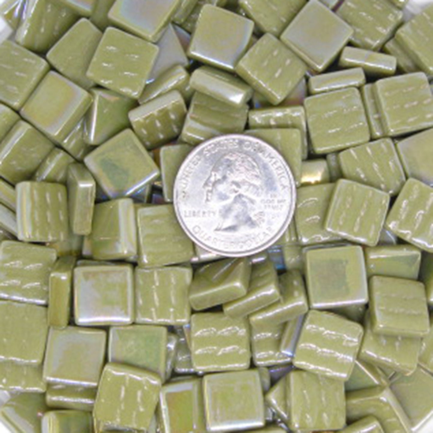 144-i Light Olive, 12mm - Greens & Teals tile - Kismet Mosaic - mosaic supplies