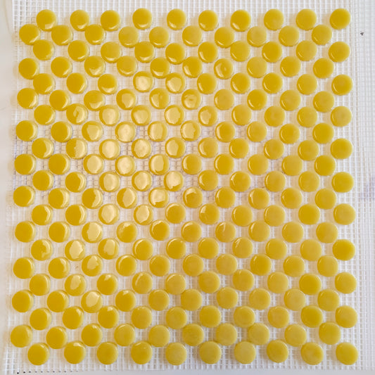 230g-Sweet Corn Gloss Penny Rounds-sheeted