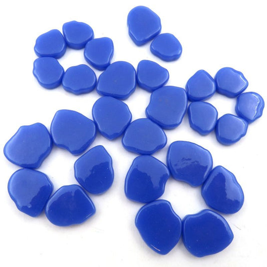 Blue glass petals on a white background