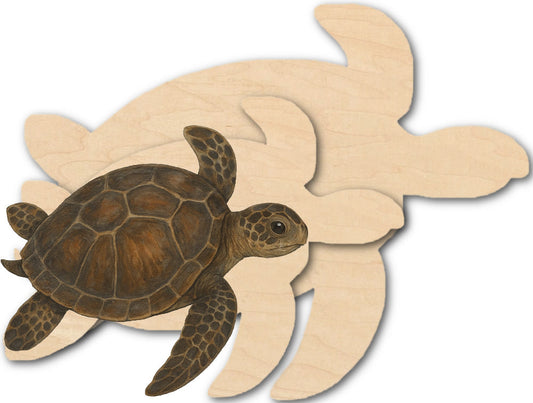 Turtle Multi-Art Shape