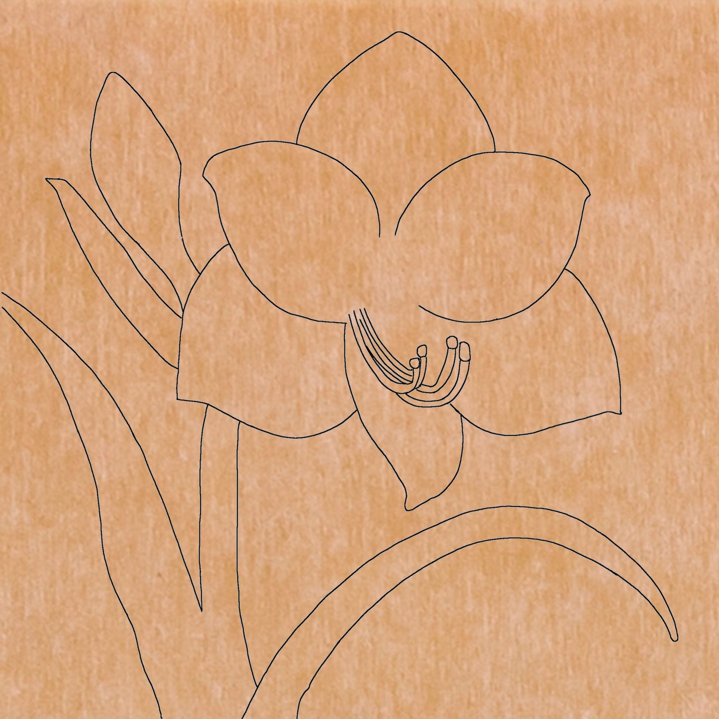 Amaryllis with Pattern 12" x 12" (pre-drilled for hanging kit)