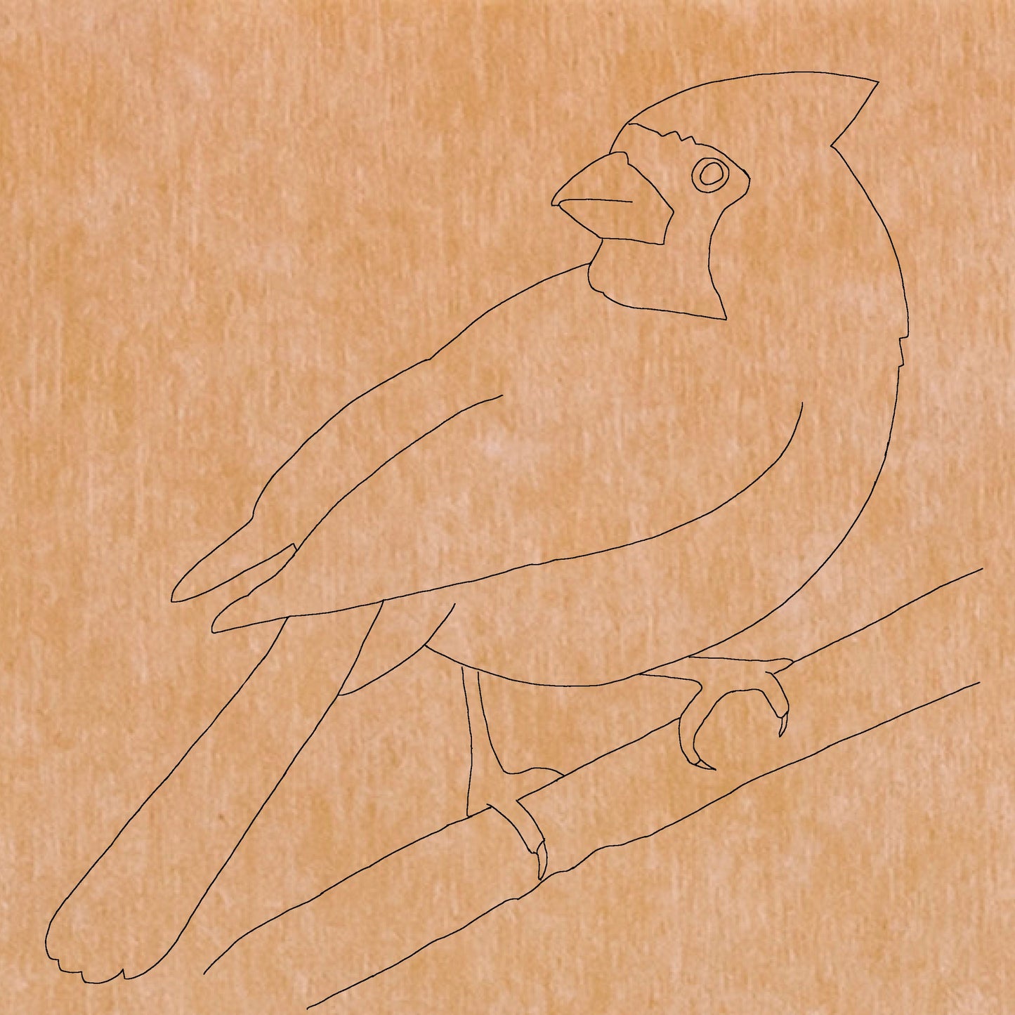 Cardinal with Pattern 14" x 14" (pre-drilled for hanging kit)