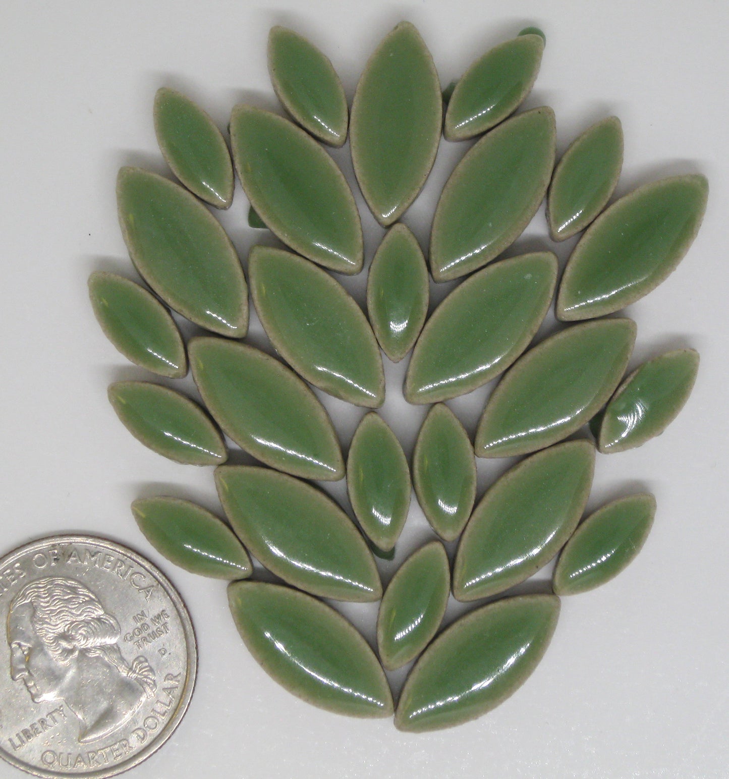 1 oz cp-Honeydew Ellipse/Petal, CeramicPetals tile - Kismet Mosaic - mosaic supplies