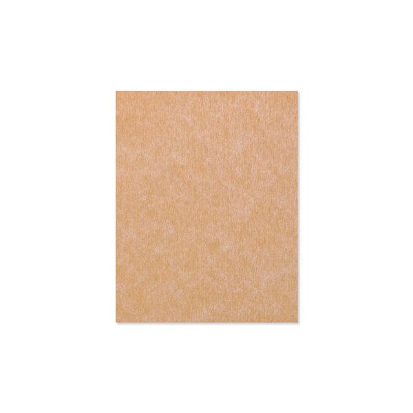 Skeewbacker Classic 11in x 14in