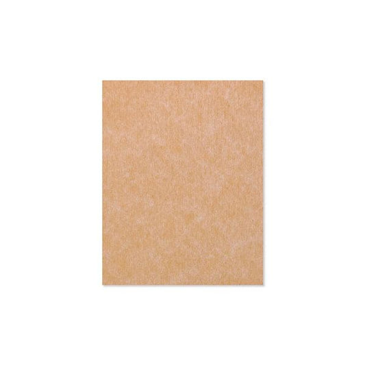 Skeewbacker Classic 11in x 14in