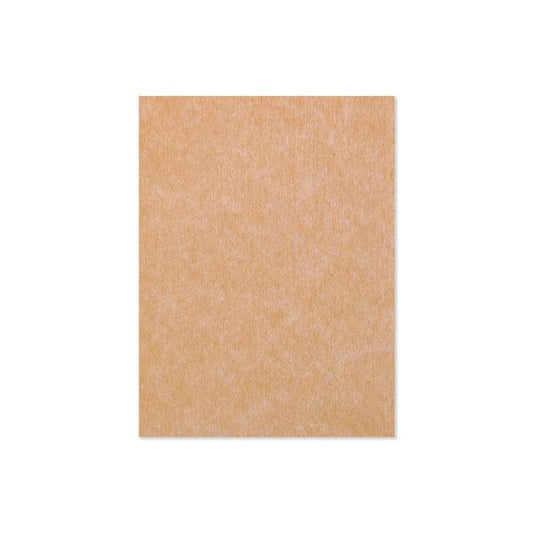 Skeewbacker Classic 12in x 16in