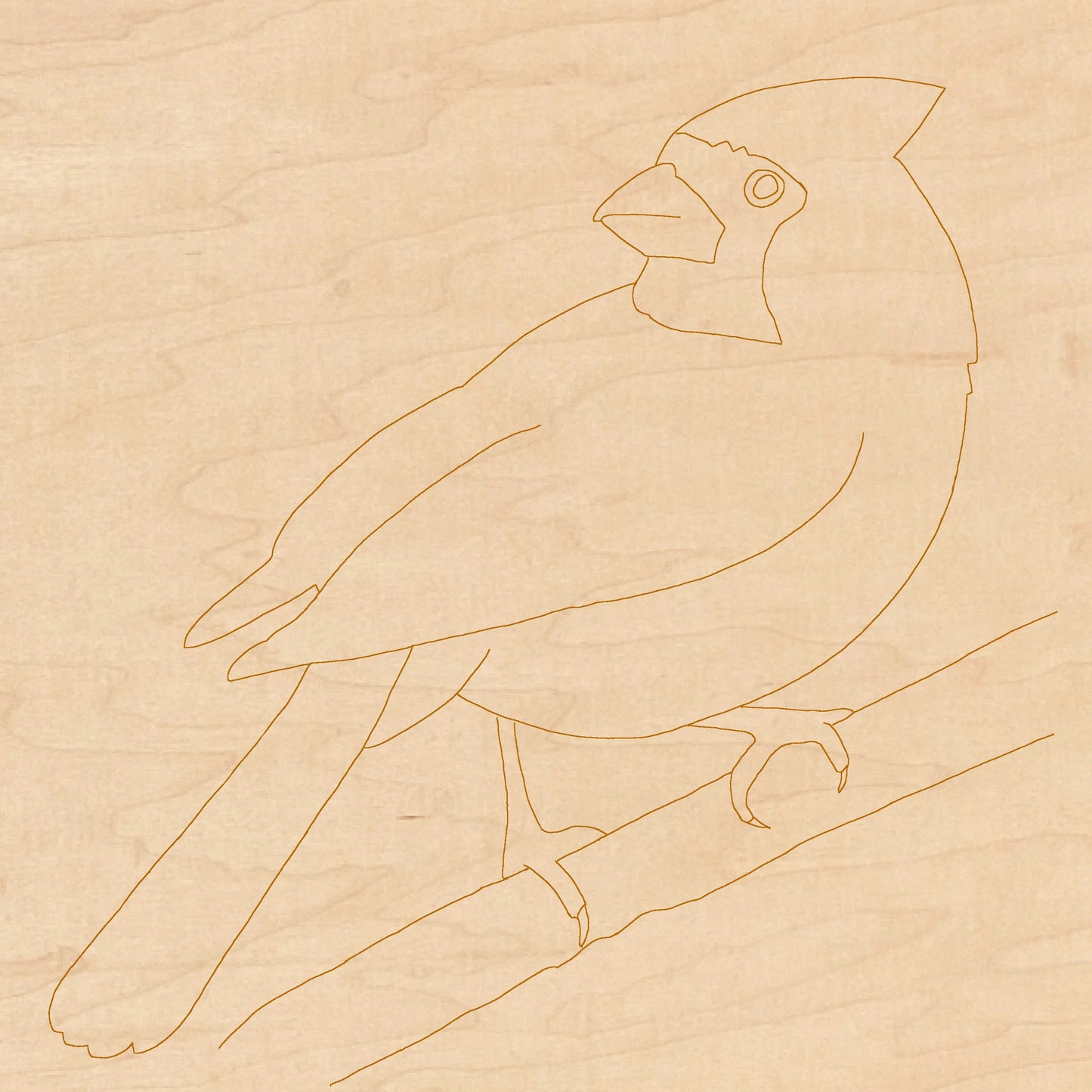 Cardinal with Pattern 14"x14"