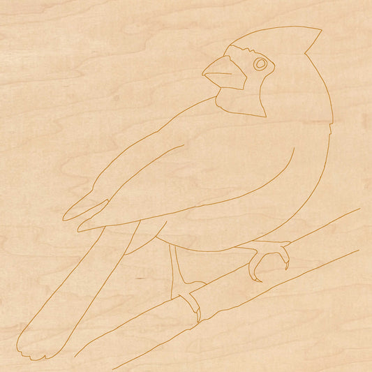 Cardinal with Pattern 14"x14"