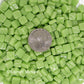 8mm apple green mosaic tiles with a shiny finish, featuring a quarter for scale, showcasing vibrant color and texture for creative projects by Kismet Mosaic.
