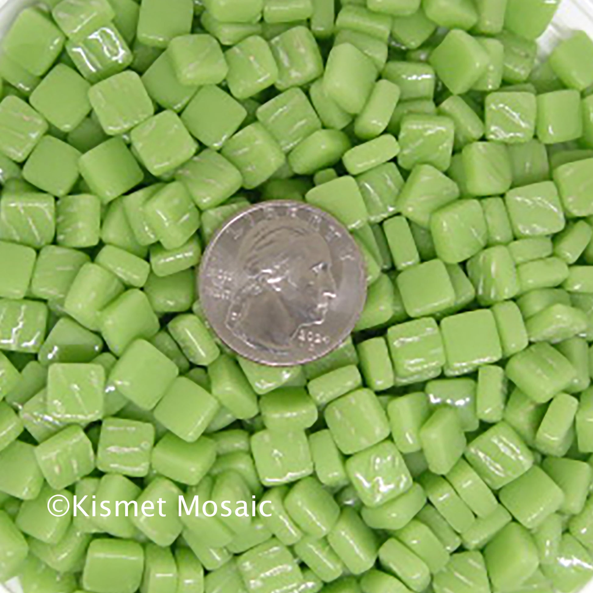 8mm apple green mosaic tiles with a shiny finish, featuring a quarter for scale, showcasing vibrant color and texture for creative projects by Kismet Mosaic.
