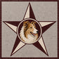 12" x 12" Texas A&M Waterproof Mosaic Backer