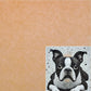 18" x 18" Waterproof Mosaic Backer