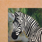 18" x 18" Waterproof Mosaic Backer