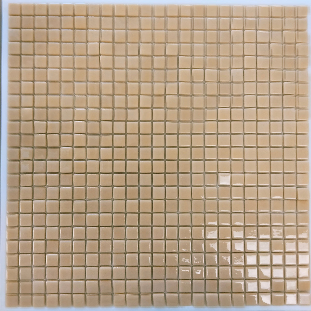 Tile Square Tan 12mm Tan Gloss Mosaic Tiles sheeted tile – Kismet Mosaic