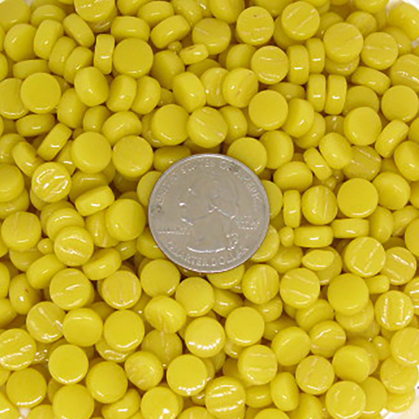430-g Sweet Corn Mini Rounds, MiniRoundGloss tile - Kismet Mosaic - mosaic supplies