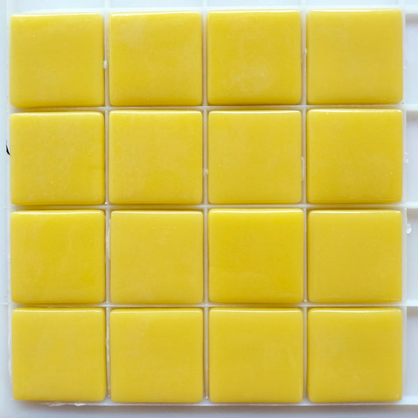 830-g 25mm Sweet Corn-sheeted-tile