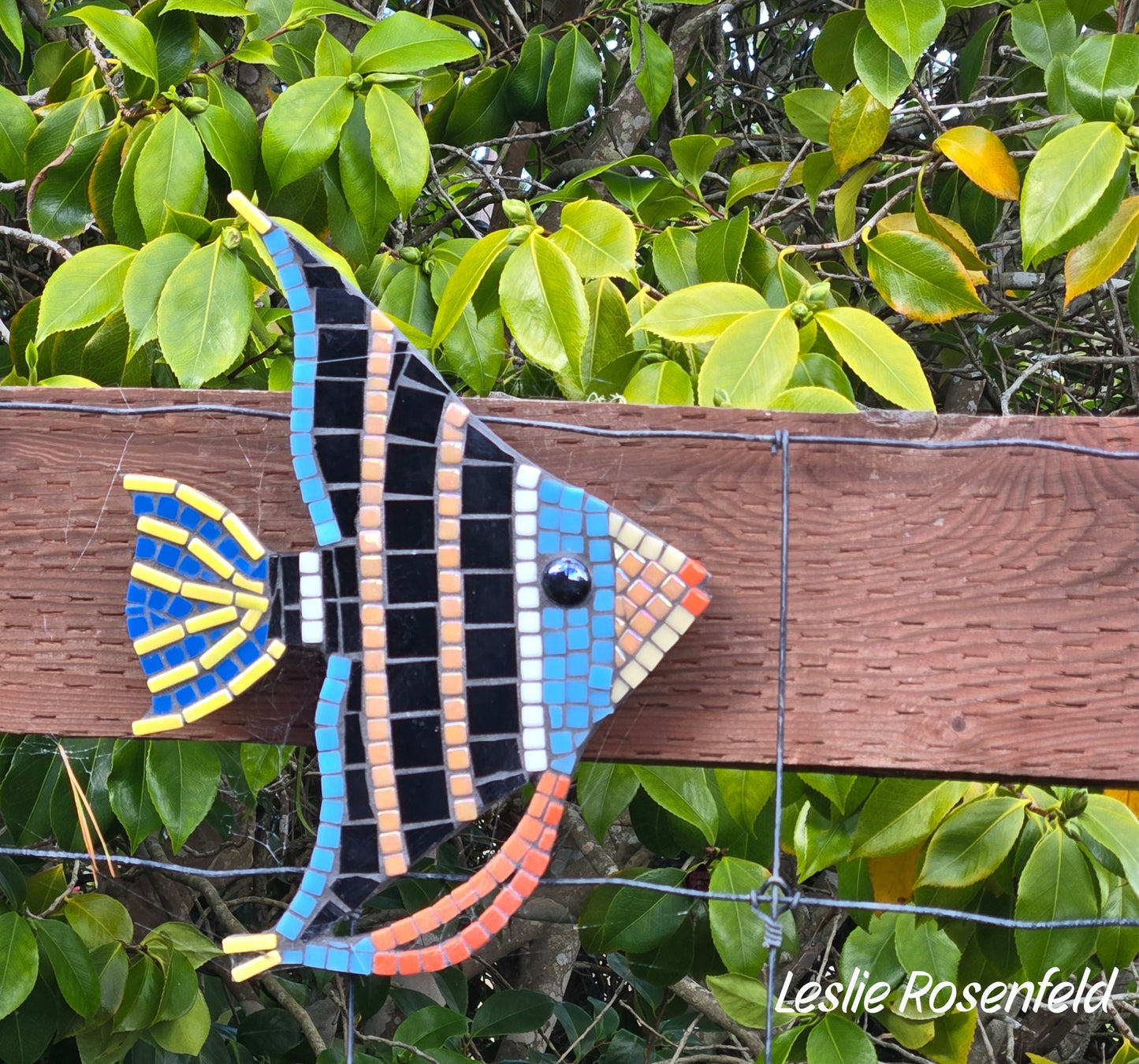 Angel Fish Mosaic Backer (pre-drilled for hangable & stakeable kits)