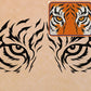 Clemson Tigers 11"x14" (pre-drilled for hanging kit)