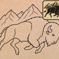 Colorado Buffaloes  11"x14" (pre-drilled for hanging kit)