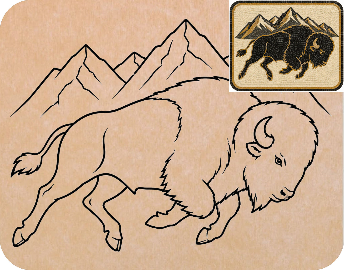 Colorado Buffaloes  11"x14" (pre-drilled for hanging kit)