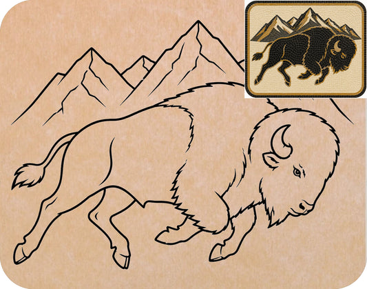Colorado Buffaloes  11"x14" (pre-drilled for hanging kit)
