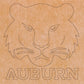 Auburn University 12"x12" (pre-drilled for hanging kit)