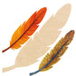Feather 16" Multi-Art Shape