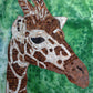 8" x 12" Waterproof Mosaic Backer
