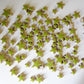 cha-Ceramic Charms-Lime Green Stars