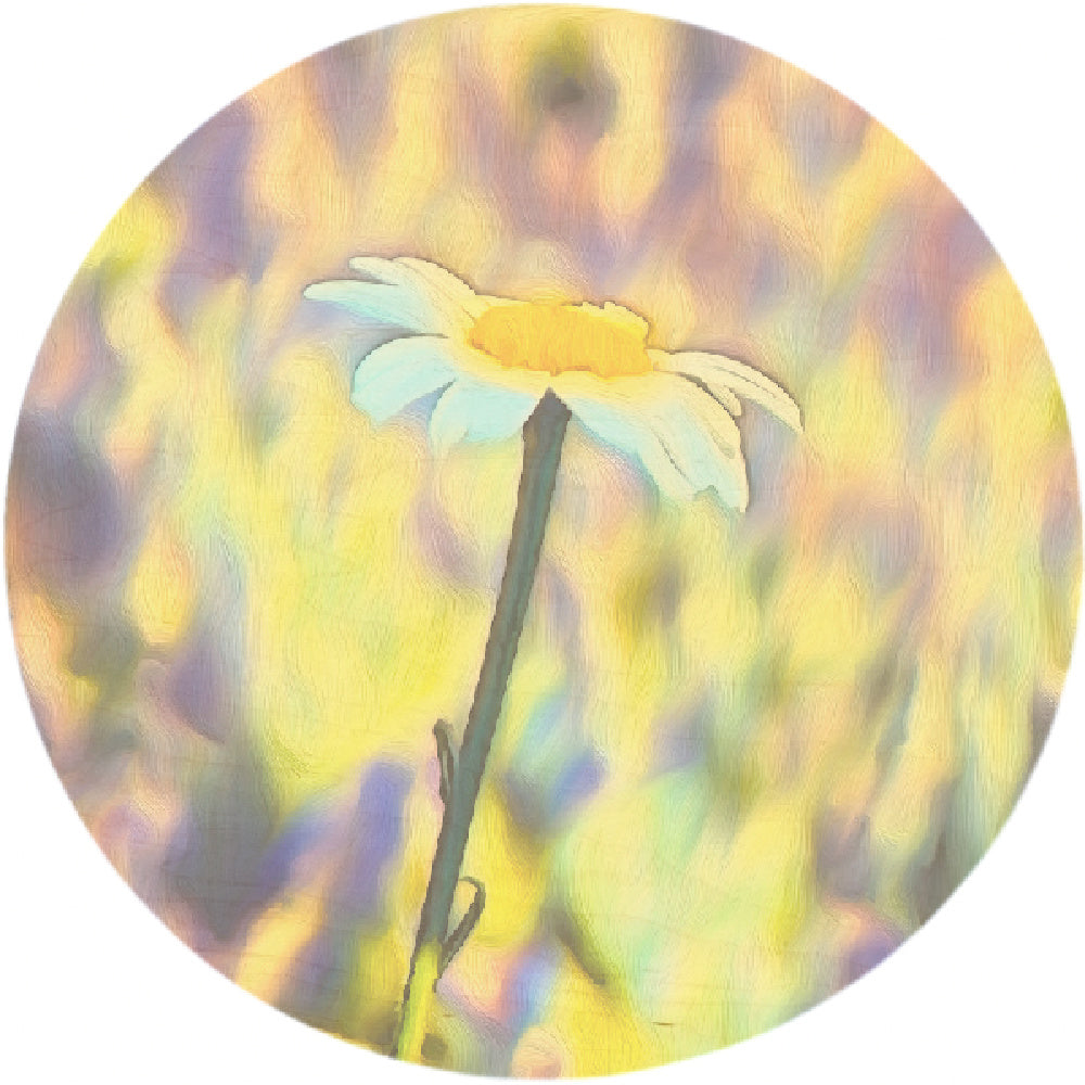Circles Multi-Art Shape 1/4"