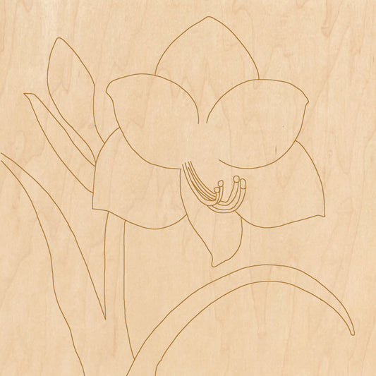 Amaryllis with Pattern 12"x12"