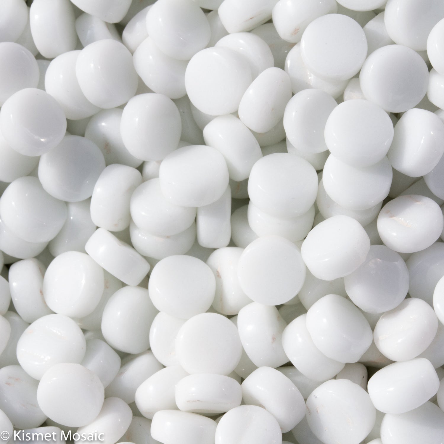 Collection Highlights