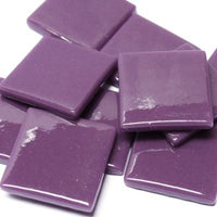 885g 25mm Purple Gloss