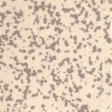 Gray Mottle Porcelain 50x50