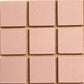 Rose 20mm x 20mm Porcelain tile