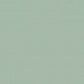 Light Green Porcelain 50x50