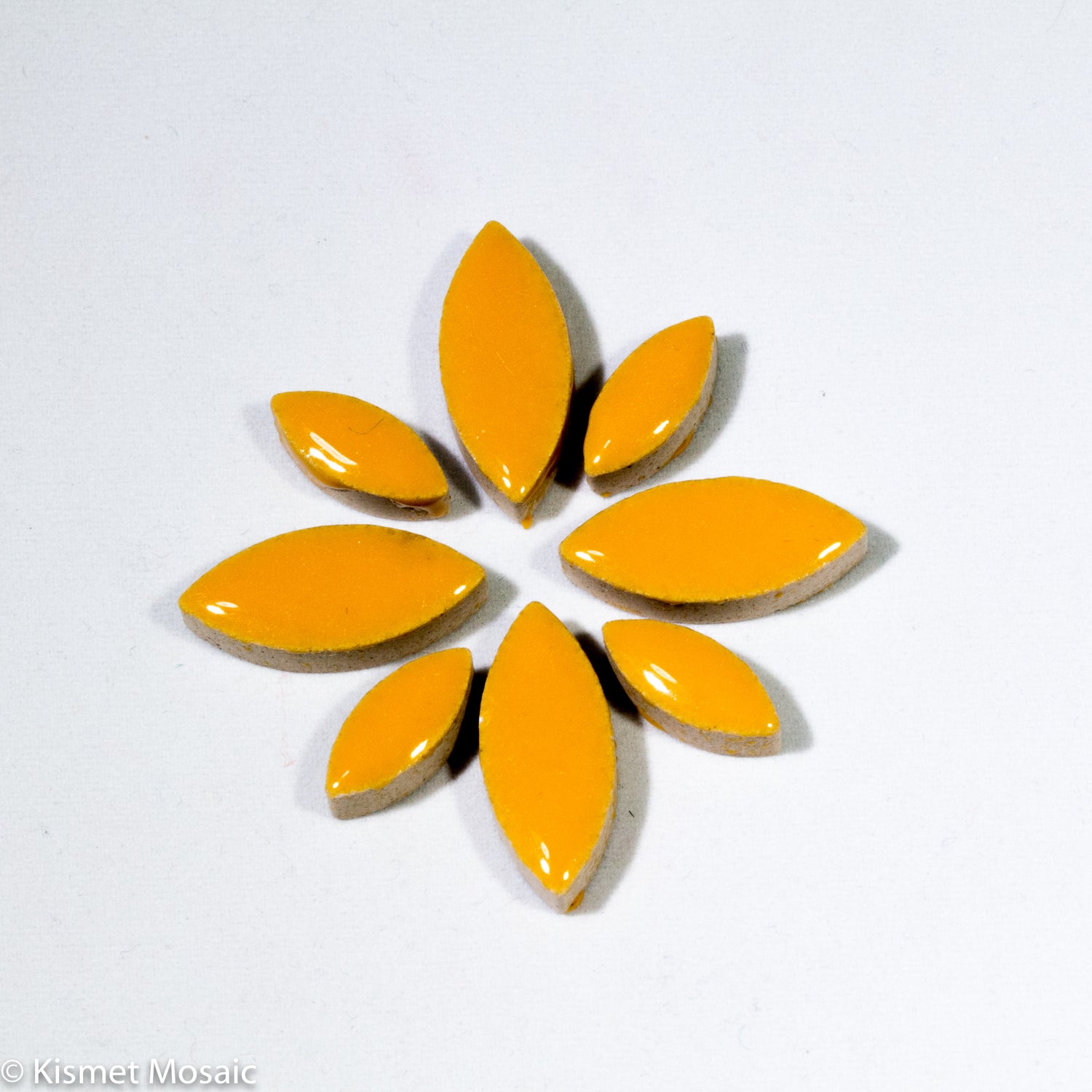 July Color Collection